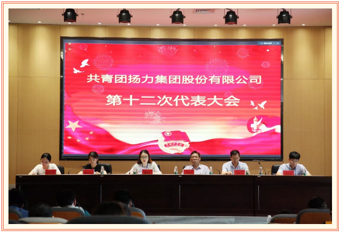 共青團揚力集團股份有限公司第十二次代表大會圓滿召開！