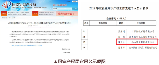 喜訊丨揚力集團總工程師仲太生榮獲“2018年度企業(yè)知識產(chǎn)權(quán)工作先進(jìn)個人”榮譽稱號！
