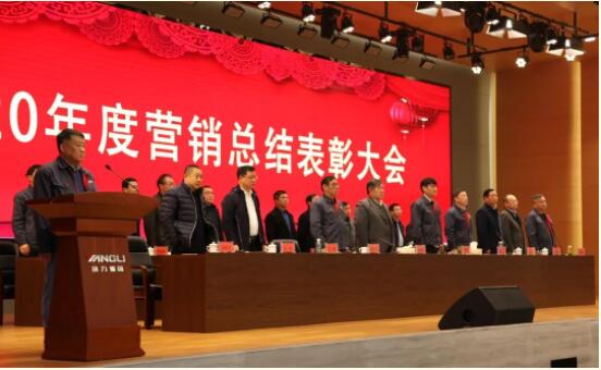 揚力集團2020年度營銷總結(jié)表彰大會圓滿召開！