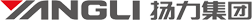 揚(yáng)力集團(tuán)